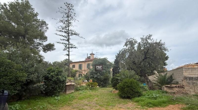 Islas Baleares - Palma - 472m2