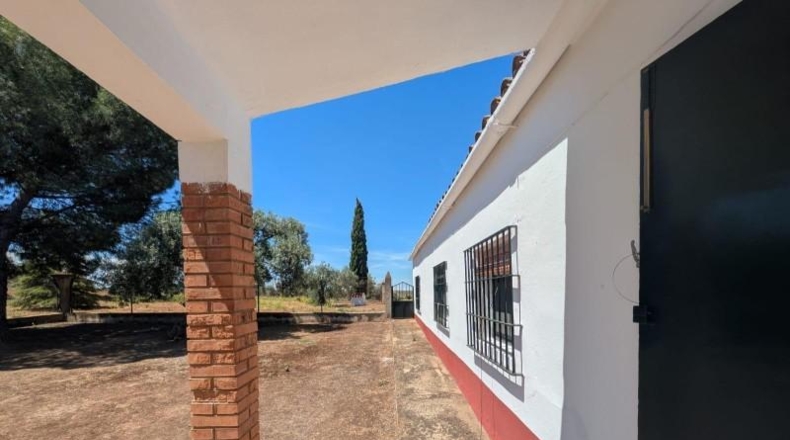 Badajoz - Solana de los Barros - 1850000m2