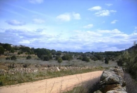 Cebreros 95000&nbsp;m²