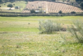 Cebreros 95000&nbsp;m²