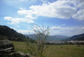 Cebreros 95000&nbsp;m²