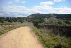 Cebreros 95000&nbsp;m²