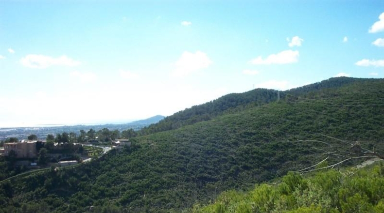 Islas Baleares - Santa Eulalia del Río - 800m2