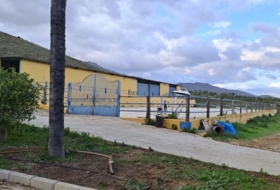Foto 10