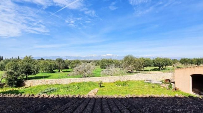 Illes Balears - Sineu - 276585m2