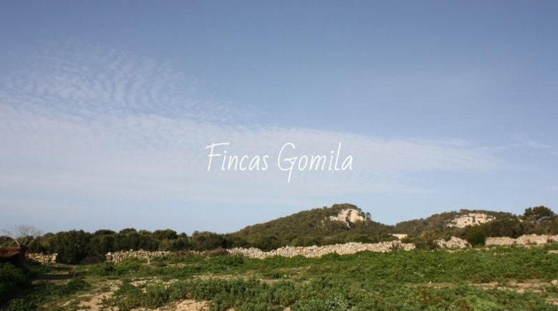 Islas Baleares - Alaior - 420000m2