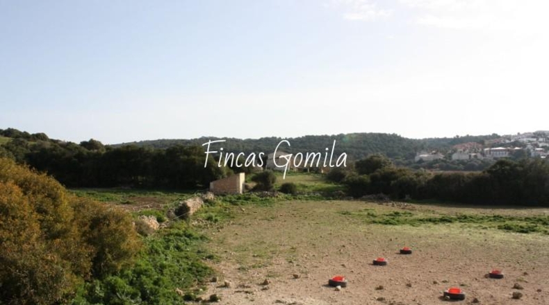 Islas Baleares - Alaior - 420000m2