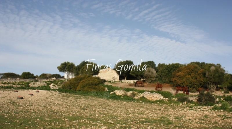 Islas Baleares - Alaior - 420000m2