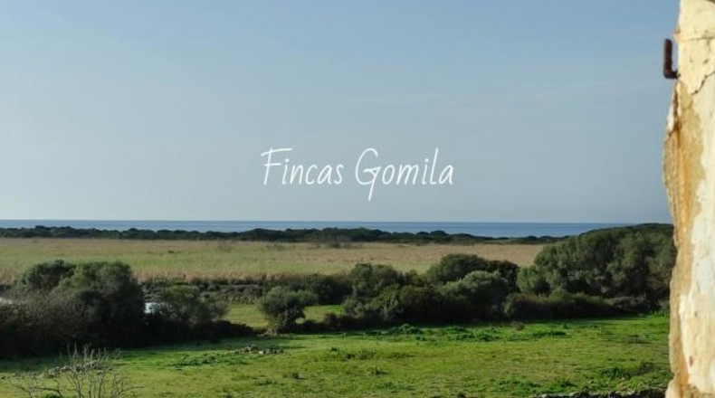 Islas Baleares - Alaior - 420000m2