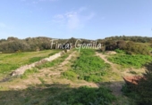 Country house with land for sale on España, Alaior, ref: TR143061 photo