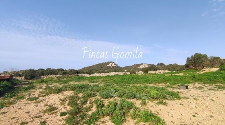 Islas Baleares - Alaior - 420000m2