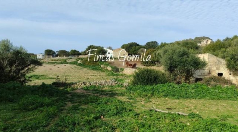 Islas Baleares - Alaior - 420000m2