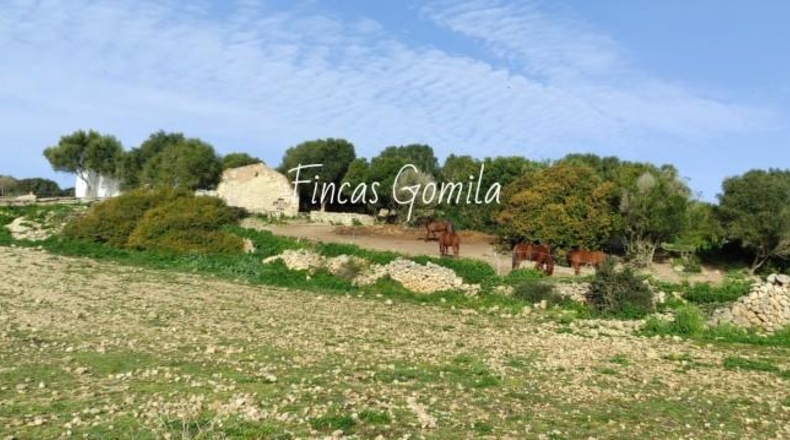 Islas Baleares - Alaior - 420000m2