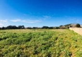 Country house with land for sale on España, Alaior, ref: TR140515 photo