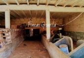 Casa de campo con terreno en venta en la España, es Mercadal, ref: TR144137 foto