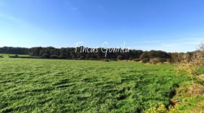 Islas Baleares - Son Parc - 1835000m2