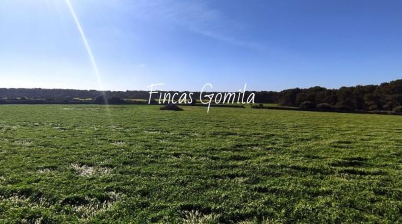 Islas Baleares - Son Parc - 1835000m2