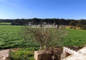 Casa de campo con terreno en venta en la España, es Mercadal, ref: TR144137 foto
