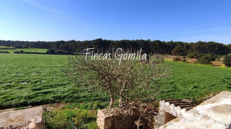 Islas Baleares - Son Parc - 1835000m2