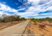 Chalet independiente con terreno en venta en la España, Ses Salines, ref: TR179004 foto