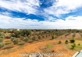 Chalet independiente con terreno en venta en la España, Ses Salines, ref: TR179004 foto