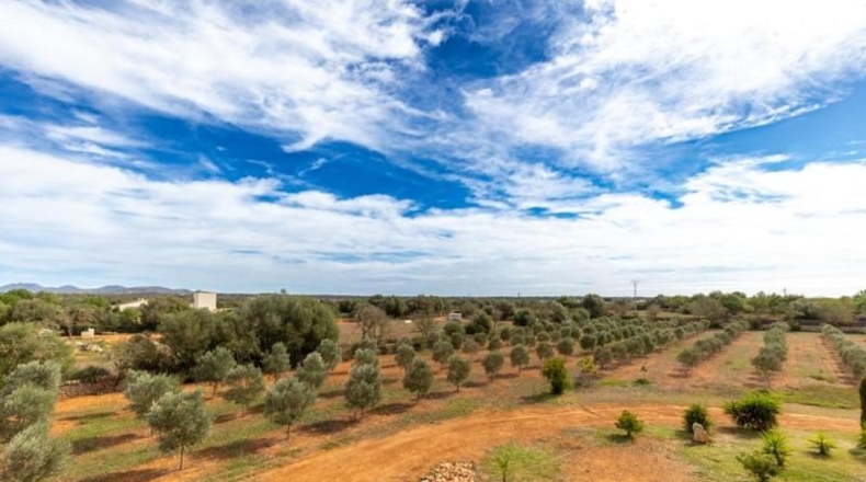 Islas Baleares - Las Salinas - 14100m2