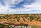 Chalet independiente con terreno en venta en la España, Ses Salines, ref: TR179004 foto