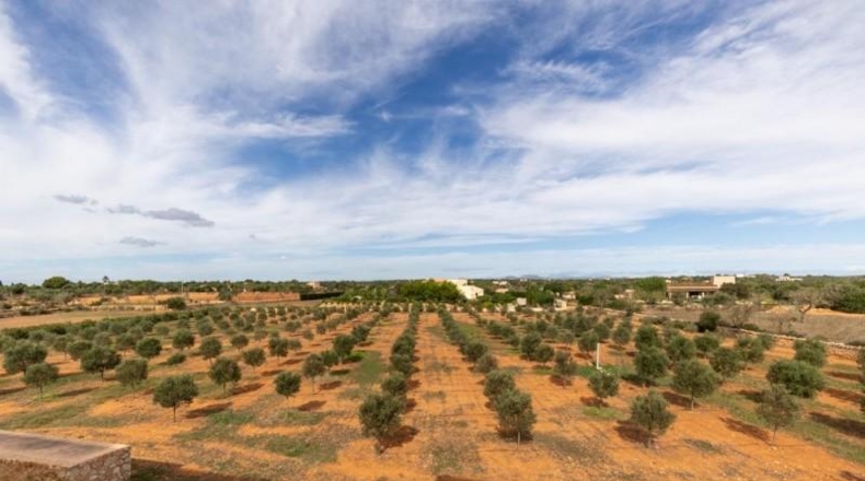 Islas Baleares - Las Salinas - 14100m2