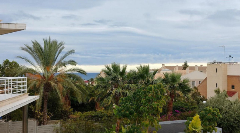Alicante - Alicante - 1150m2