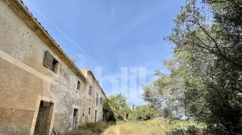 Islas Baleares - Manacor - 384m2