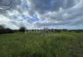 Chalet independiente con terreno en venta en la España, Manacor, ref: TR164984 foto
