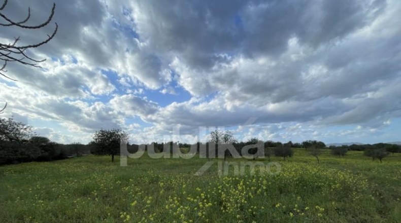 Islas Baleares - Manacor - 384m2
