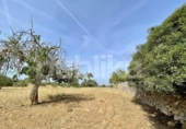 Chalet independiente con terreno en venta en la España, Manacor, ref: TR164984 foto