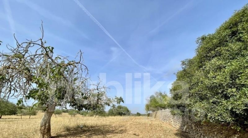 Islas Baleares - Manacor - 384m2
