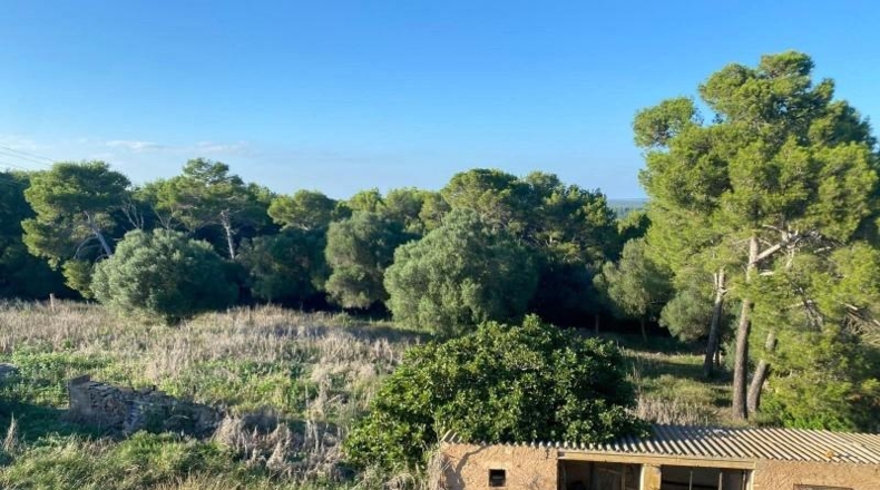 Balearic Islands - Mahón - 600000m2