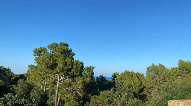Balearic Islands - Mahón - 600000m2