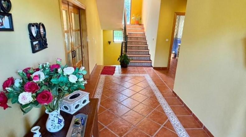 Málaga - Marbella - 750m2