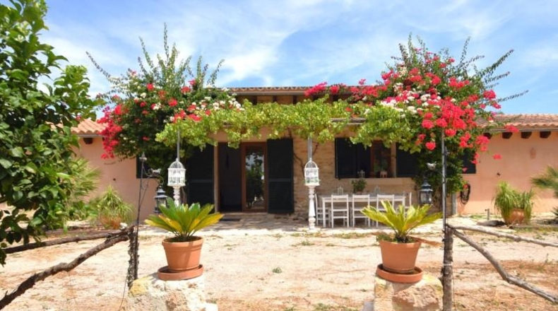 Balearic Islands - Muro - 38317m2