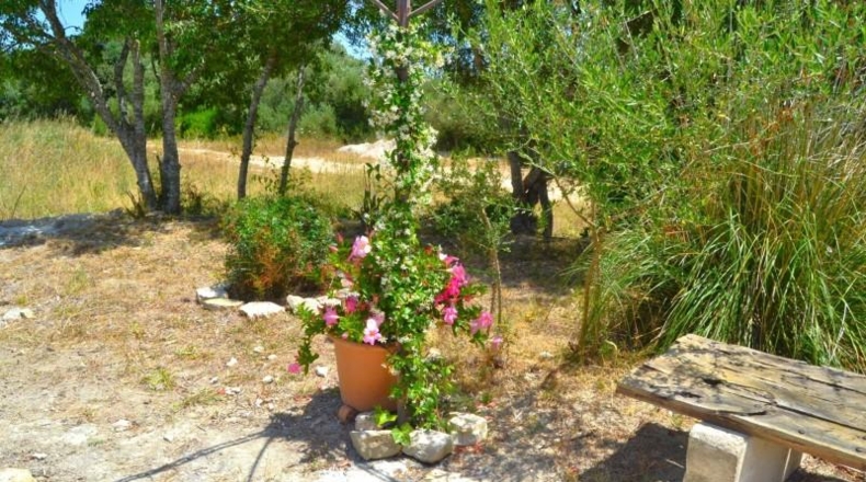 Balearic Islands - Muro - 38317m2