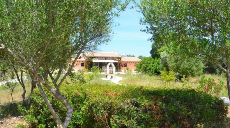 Balearic Islands - Muro - 38317m2