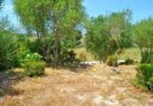 Chalet independiente con terreno en venta en la España, Muro, ref: TR240675 foto