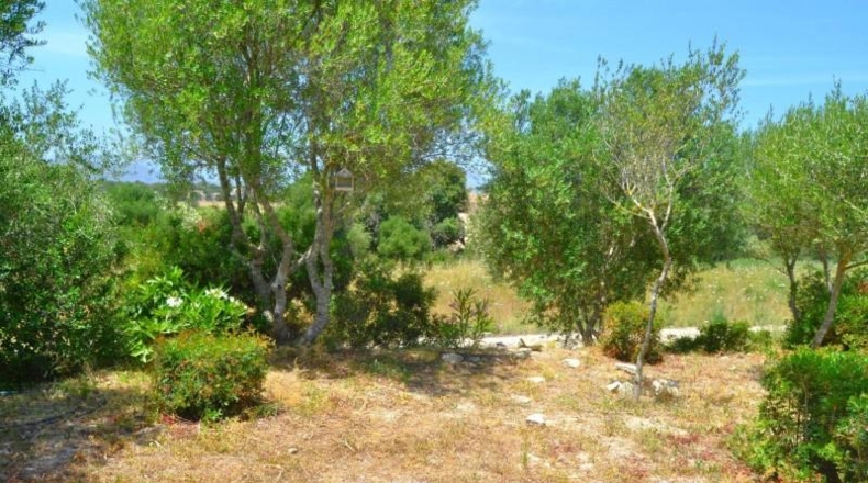 Balearic Islands - Muro - 38317m2