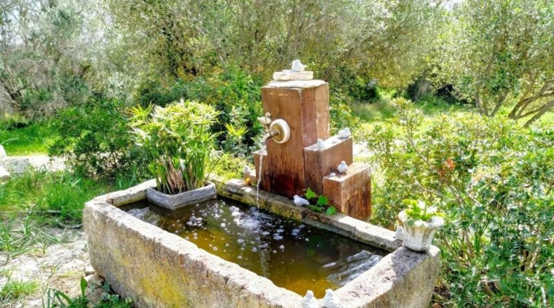 Balearic Islands - Muro - 38317m2