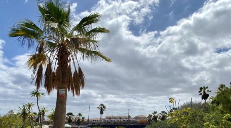 Santa Cruz de Tenerife - San Miguel de Abona - 3709m2