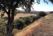 Detached villa with land for sale on España, Valverde de Leganés, ref: TR134660 photo
