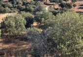 Detached villa with land for sale on España, Valverde de Leganés, ref: TR134660 photo