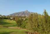 Chalet independiente con terreno en venta en la España, Marbella, ref: TR266082 foto