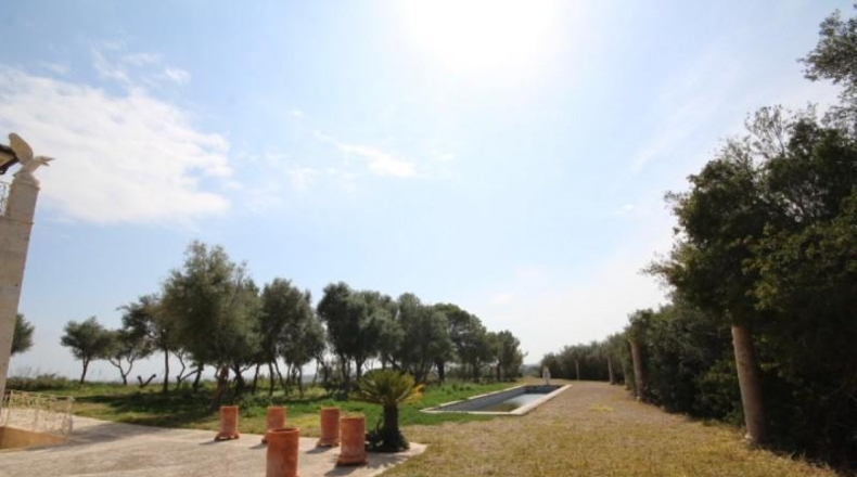 Islas Baleares - Muro - 16098m2