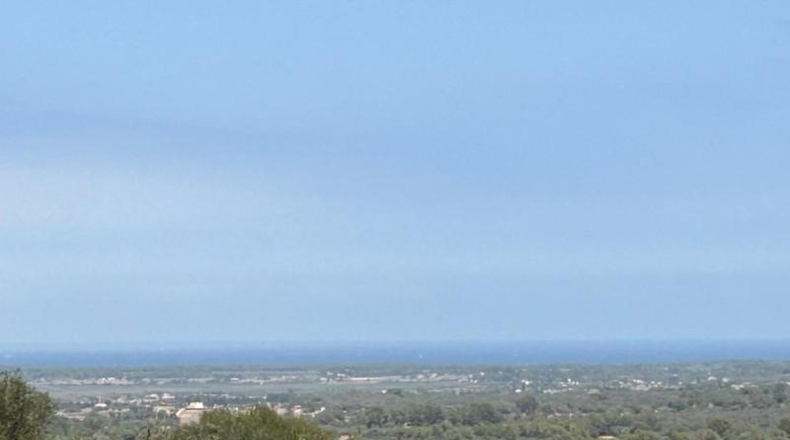 Islas Baleares - Muro - 16098m2