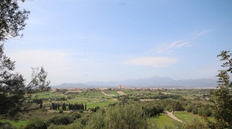 Islas Baleares - Muro - 16098m2